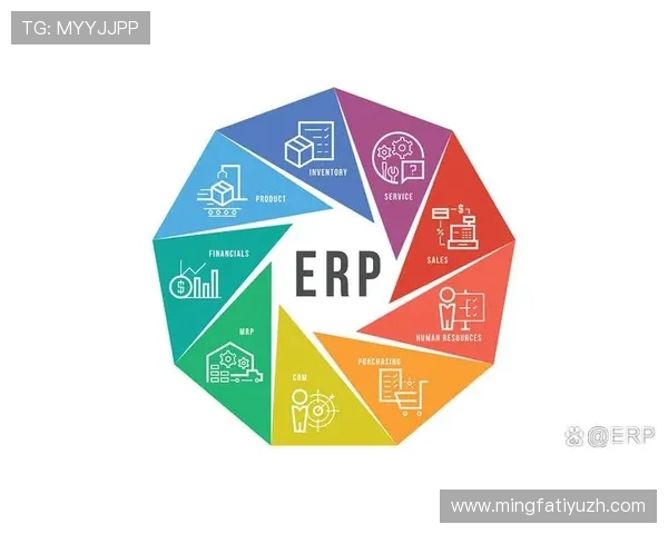 ab欧博客户端支付方式多样，安全便捷的充值与提现操作流程详解